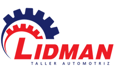 Logo LIDMAN SRL